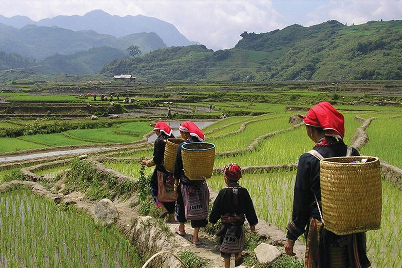 Sapa & Mu Cang Chai Trekking Tour 5 days 4 nights